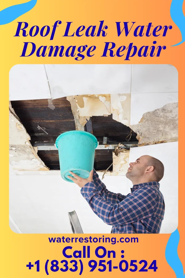 Roof Leak Water Damage Repair in Bremond, TX